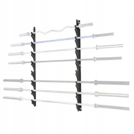 uchwyt-scienny-na-gryfy-insportline-wabarak