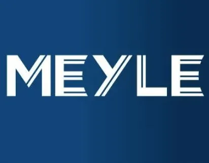 czujnik-temp-spalin-audi-20tdi-a4-07-meyle-114-800-0269-numer-katalogowy-oryginalu-audi-03l-906-088-a-audi-03l-906-088-aq-audi-070-906-088-ag