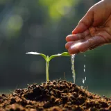 nawoz-torf-kokosowy-ogrodniczy-do-kwiatow-doniczkowych-dracena-czysty-5l-stan-opakowania-oryginalne