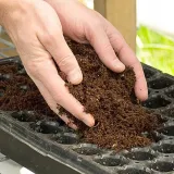 nawoz-torf-kokosowy-ogrodniczy-do-kwiatow-doniczkowych-dracena-czysty-5l-kod-producenta-torf-kokosowy-do-sadzenia-roslin-podloze