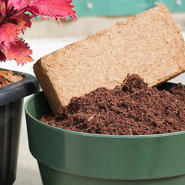 nawoz-torf-kokosowy-ogrodniczy-do-kwiatow-doniczkowych-dracena-czysty-5l-marka-gawlik