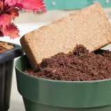 nawoz-torf-kokosowy-ogrodniczy-do-kwiatow-doniczkowych-dracena-czysty-5l-marka-gawlik