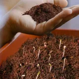 nawoz-torf-kokosowy-ogrodniczy-do-kwiatow-doniczkowych-dracena-czysty-5l-stan-nowy-rodzaj-inna