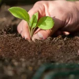 nawoz-torf-kokosowy-ogrodniczy-do-kwiatow-doniczkowych-dracena-czysty-5l-stan-nowy-kod-producenta-torf-kokosowy-do-sadzenia-roslin-podloze