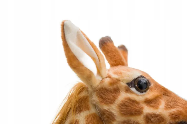 duza-wysoka-zyrafa-pluszowa-miekka-maskotka-dla-dzieci-pluszak-60-cm-wiek-dziecka-12-m