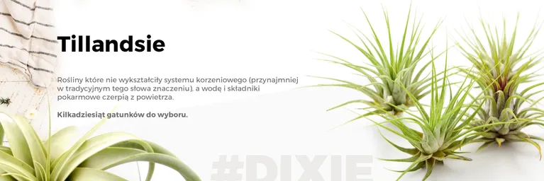 undefined_undefined