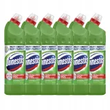 domestos-750ml-pine-zielony-rodzaj-czyszczenie-wc