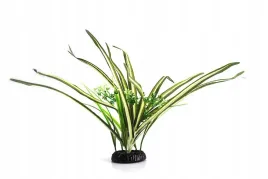 repti-zoo-roslina-sztuczna-dracena-marginata