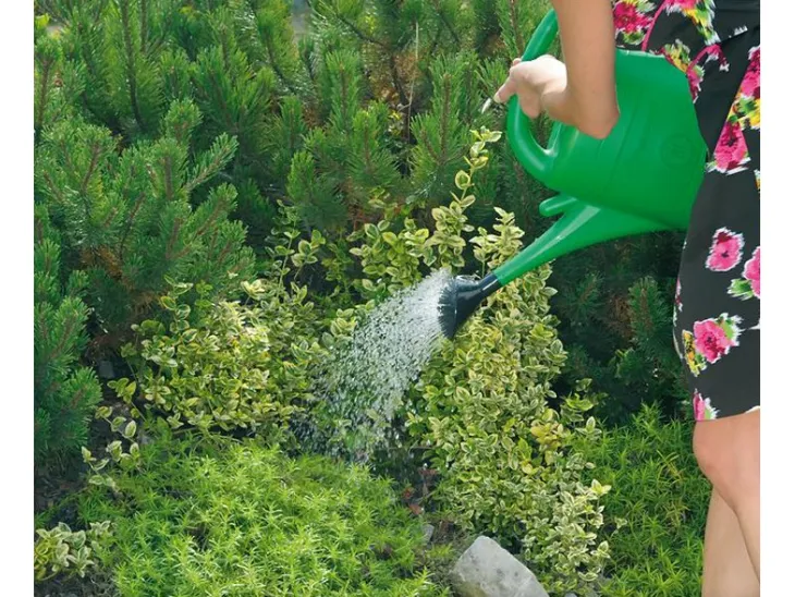 konewka-prosperplast-spring-5l-zielona-stan-nowy-kolor-odcienie-zieleni