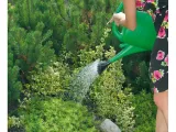 konewka-prosperplast-spring-5l-zielona-stan-nowy-kolor-odcienie-zieleni