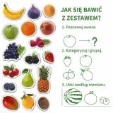 owoce-zestaw-magnesow-rodzaj-gadzetu-filmowy-gamingowy-ksiazkowy-komiksowy-muzyczny