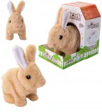 kroliczek-na-baterie-brazowy-jezyk-polski