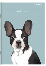 zeszyt-w-kratke-a6-top-2000-16-kartek