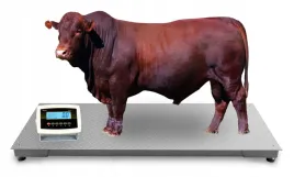 waga-inwentarzowa-do-zywca-bydla-byka-12x25m-5t