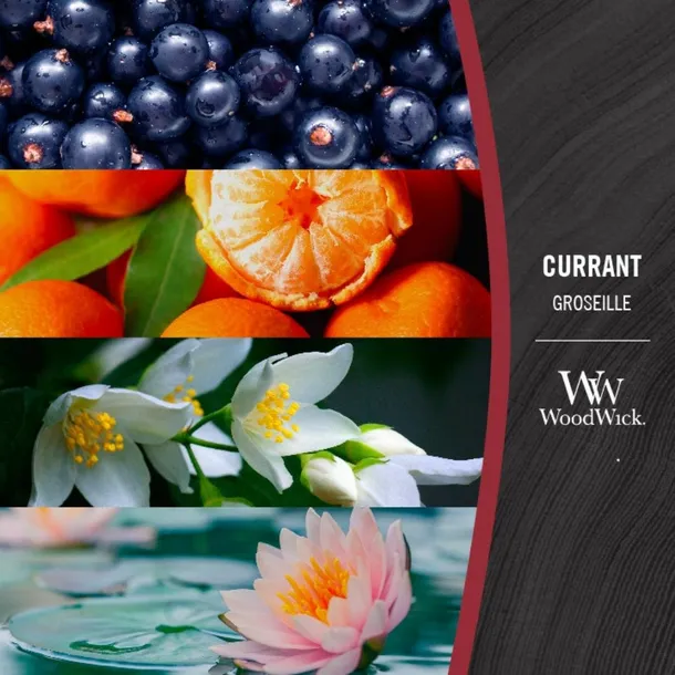woodwick-swieca-zapachowa-duza-currant-marka-woodwick
