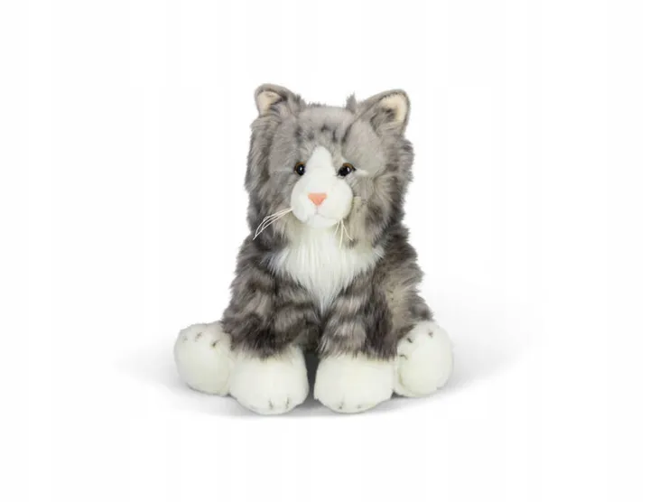 puszysty-kot-bohater-brak