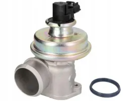 zawor-egr-ford-14tdci-pierburg-7-24809-07-0