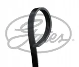 pasek-wielorowkowy-gates-gates-4pk948-gates-producent-czesci-gates