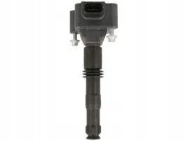 ngk-cewka-zaplonowa-u518148562