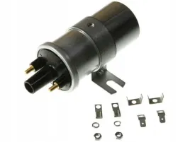 cewka-zaplonowa-ngk-48343
