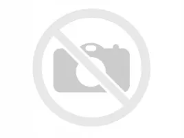 koncowka-wtr-dn0sd294-bosch-0-434-250-155