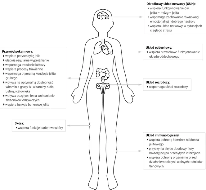 probactilardii-synbiotyk-i-postbiotic-duolife-producent-duolife