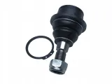 delphi-sworzen-wahacza-tc1150-jakosc-czesci-zgodnie-z-gvo-q-oryginal-z-logo-producenta-czesci-oem-oes