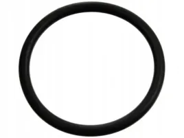 febi-bilstein-uszczelka-termostatu-fe17970