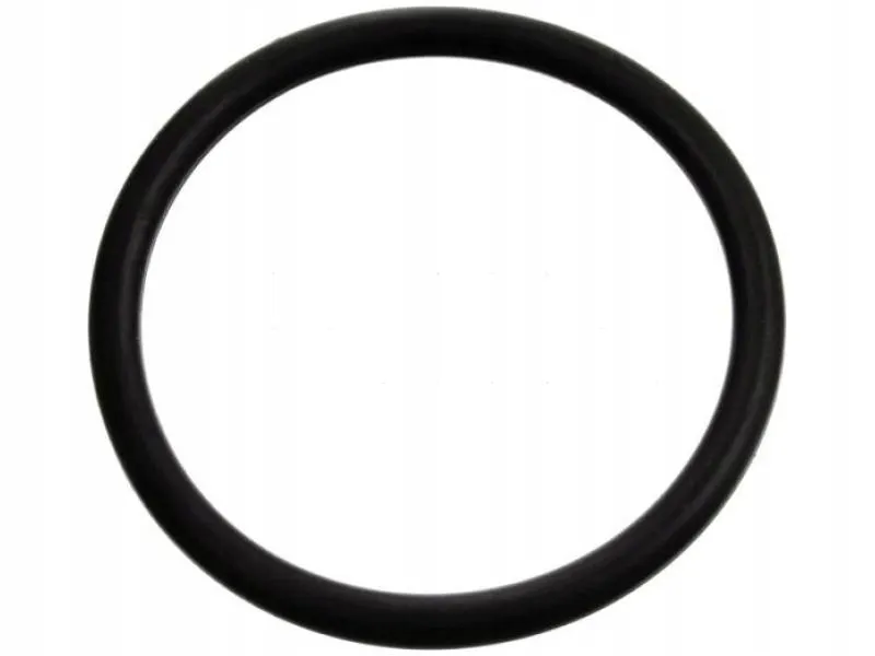febi-bilstein-uszczelka-termostatu-fe17970-stan-nowy