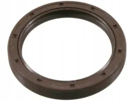 zimering-walka-rozrz-ford-1-6-1-8-zetec-1-067-029