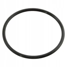 oring-termostatu-60x3-5mm