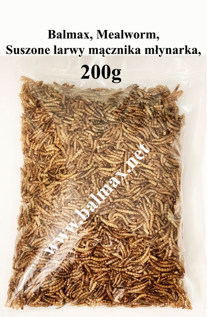 Balmax Mealworm Suszone Larwy M Cznika M Ynarka G Erli Pl