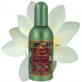 perfumy-tesori-d-oriente-edt-100ml-forest-ritual-grupa-zapachowa-orientalna