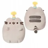 pusheen-party-maly-stan-nowy