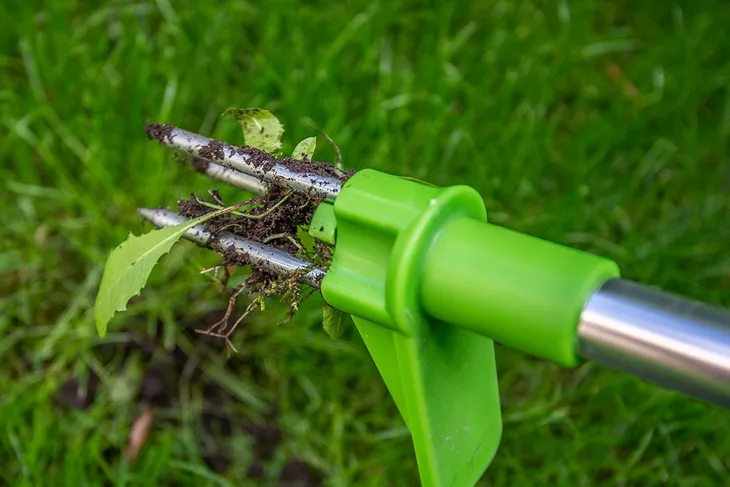 wyrywacz-do-chwastow-kod-producenta-15g450-marka-verto