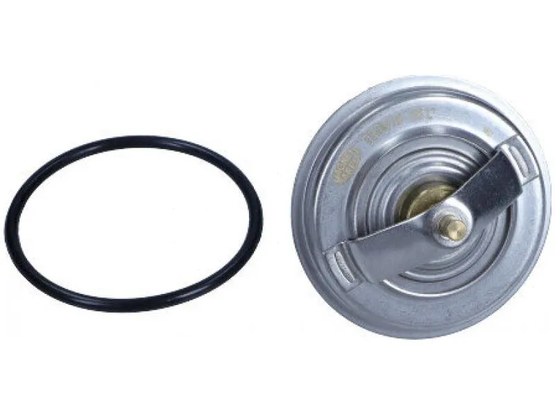 termostat-bmw-88c