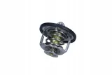termostat-opel-89c-waga-z-opakowaniem-2-kg