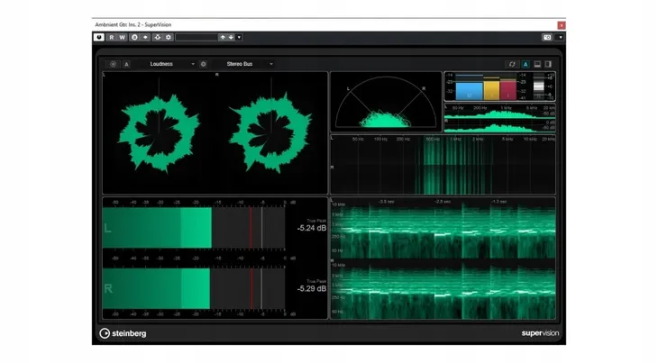 steinberg-cubase-artist-11-program-daw-okres-licencji-24-miesiace