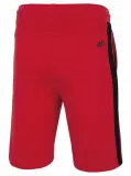 spodenki-4f-d4l20-skmd500-62s-stan-nowy