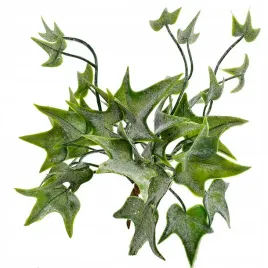 galazka-dekoracja-swieta-ozdoba-bluszcz-stroik-kompozycja-lisc-wianek-kwiat