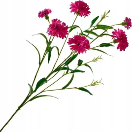 chaber-galazka-kwiat-bukiet-stroik-ozdoba-wazon-70