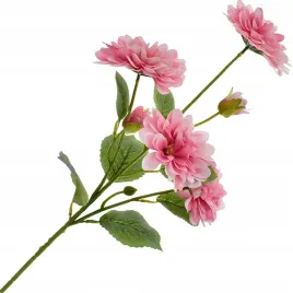 dalia-kwiat-galazka-georginia-kompozycja-liscie-65