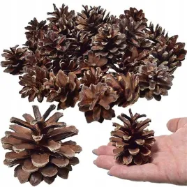 szyszki-sosnowe-dekoracyjne-naturalne-stroik-susz