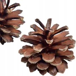 szyszki-sosnowe-susz-stroik-wianek-ozdoba-choinka