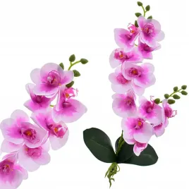 orchidea-storczyk-dekoracja-prezent-kwiat-ozdoba