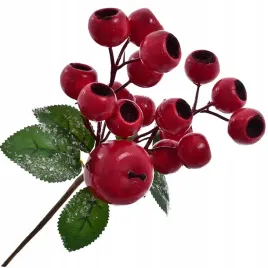 dzika-roza-galazka-dekoracja-kwiat-bukiet-swieta