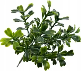 galazka-borowka-bukszpan-sztuczna-wielkanoc-18-cm