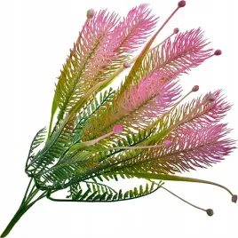 bukiet-galazka-paproc-klos-dekoracja-ozdoba-stroik