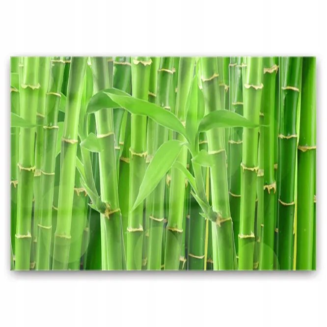 cactus ink Jacques Herbin Vert Cactus main image 1