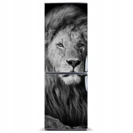 mata-magnetyczna-na-lodowke-portret-lwa-60x180